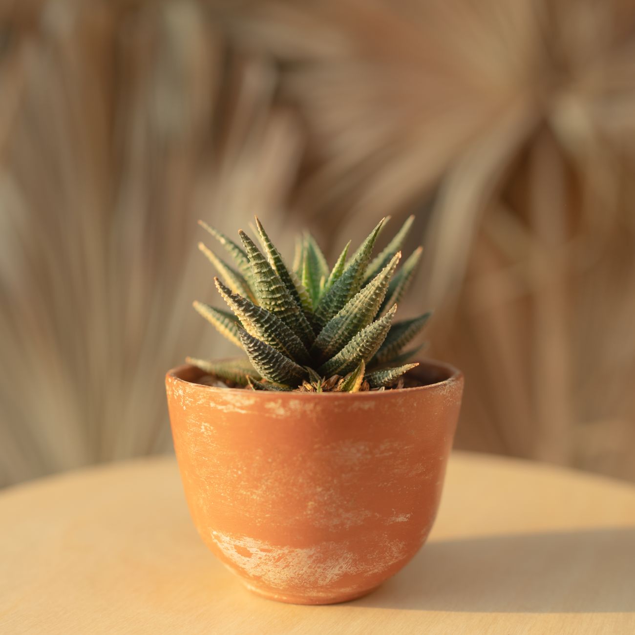 Terrakotta kaspó, 22 cm
